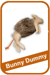 Bunny Dummy
